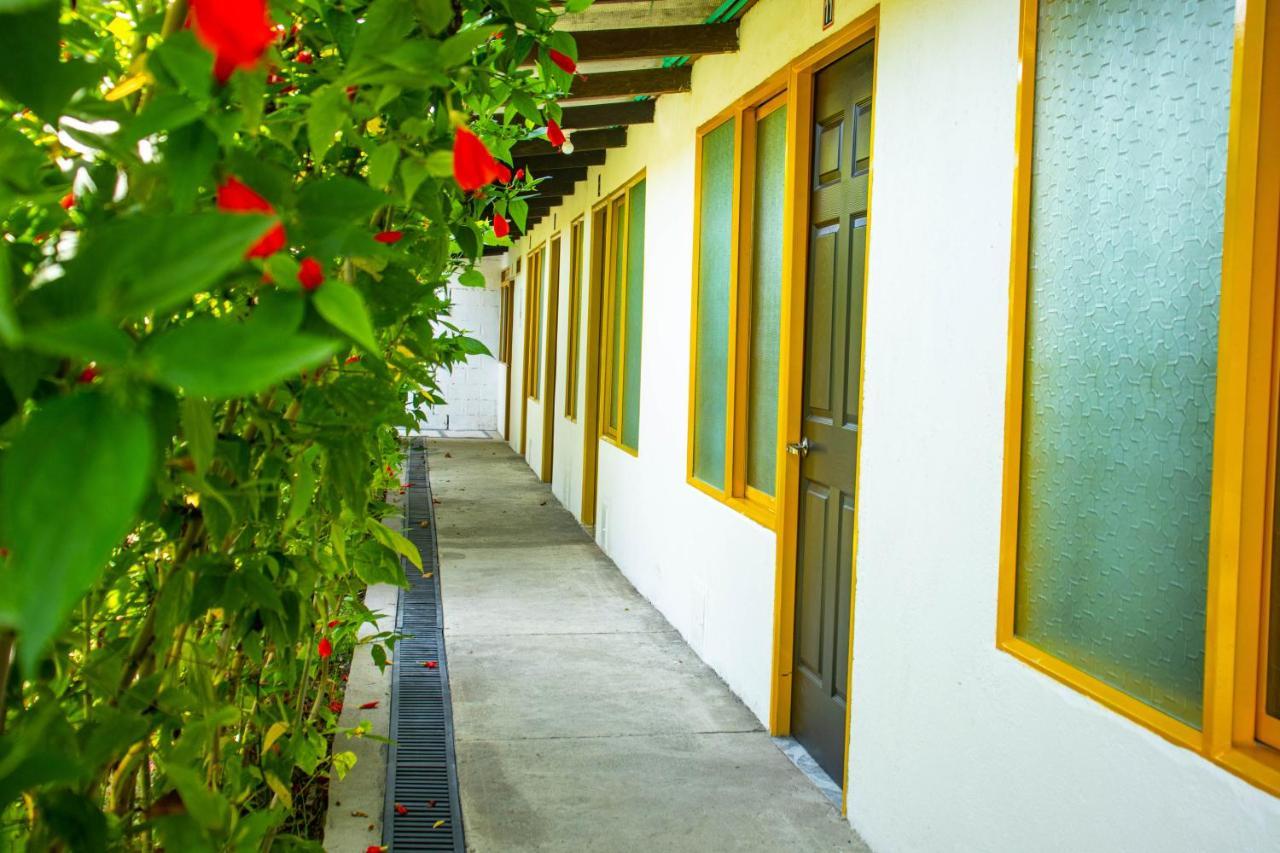 Hotel Villa Bosco Palmira  Esterno foto